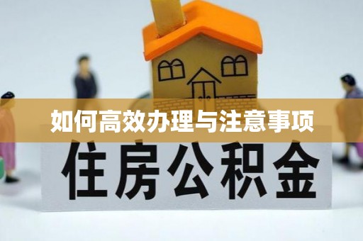 鱼台如何高效办理与注意事项