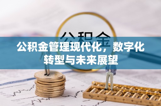 鱼台公积金管理现代化，数字化转型与未来展望