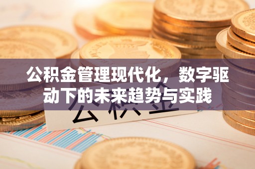 鱼台公积金管理现代化，数字驱动下的未来趋势与实践