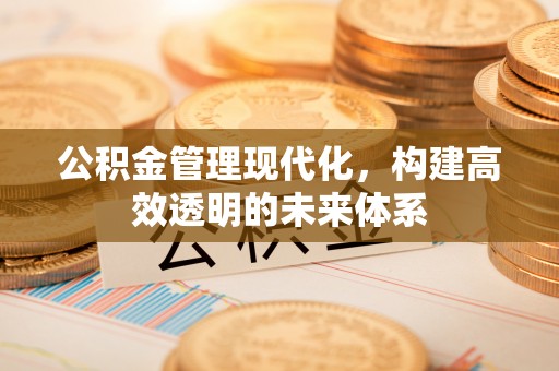 鱼台公积金管理现代化，构建高效透明的未来体系