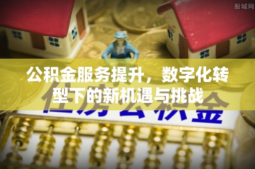 鱼台公积金服务提升，数字化转型下的新机遇与挑战