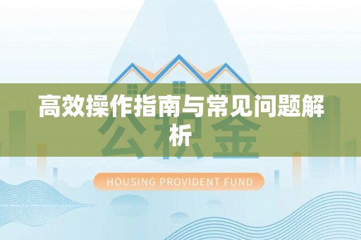 鱼台高效操作指南与常见问题解析