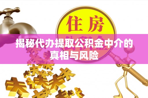 鱼台揭秘代办提取公积金中介的真相与风险