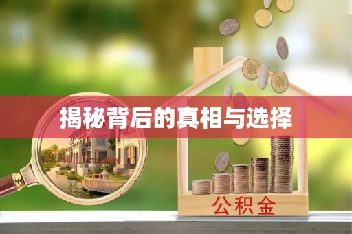 鱼台揭秘背后的真相与选择