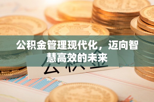 鱼台公积金管理现代化，迈向智慧高效的未来