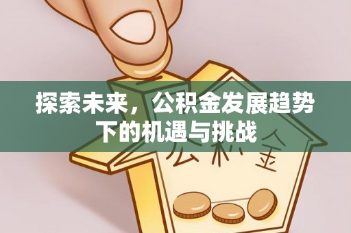 鱼台探索未来，公积金发展趋势下的机遇与挑战