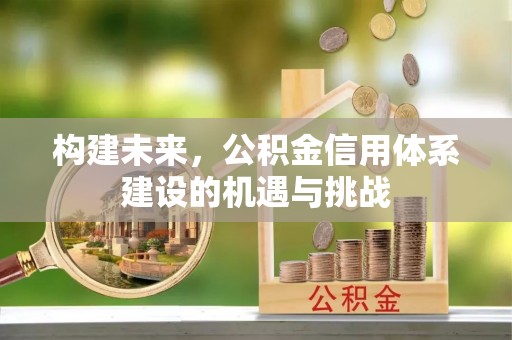 鱼台构建未来，公积金信用体系建设的机遇与挑战