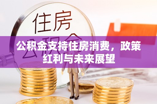 鱼台公积金支持住房消费，政策红利与未来展望