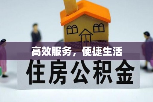 鱼台高效服务，便捷生活