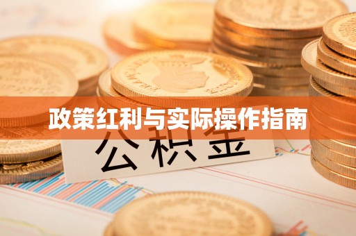 鱼台政策红利与实际操作指南
