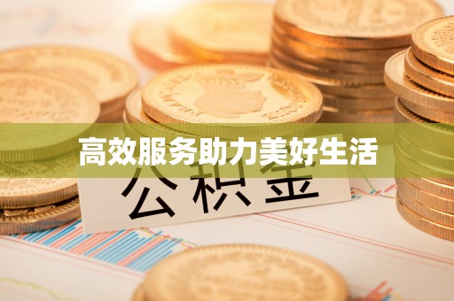 鱼台高效服务助力美好生活