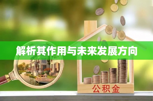 鱼台解析其作用与未来发展方向